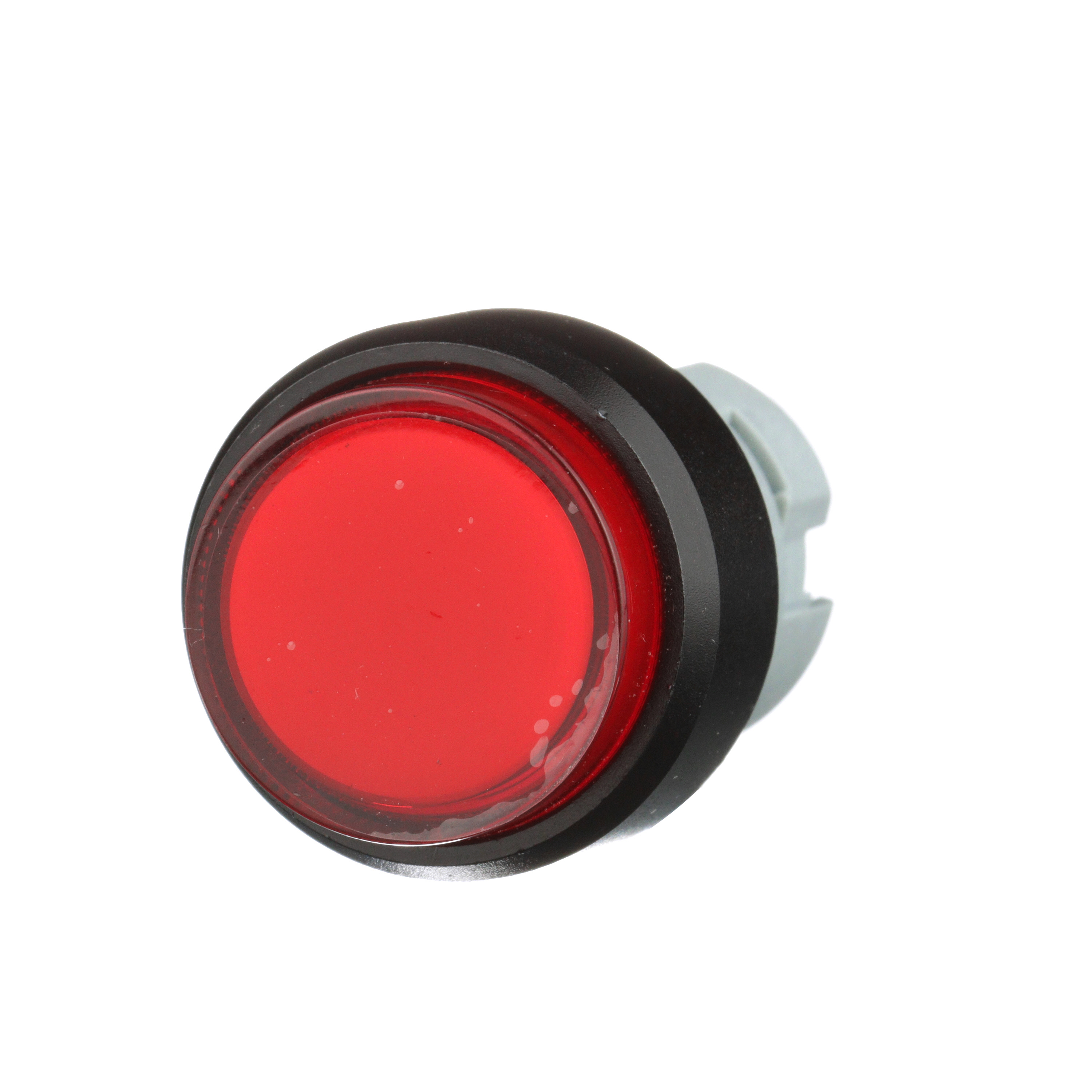 Carlo Gavazzi Search